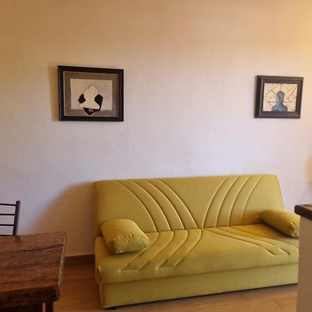Agriturismo Terranera 斯坎萨诺 外观 照片