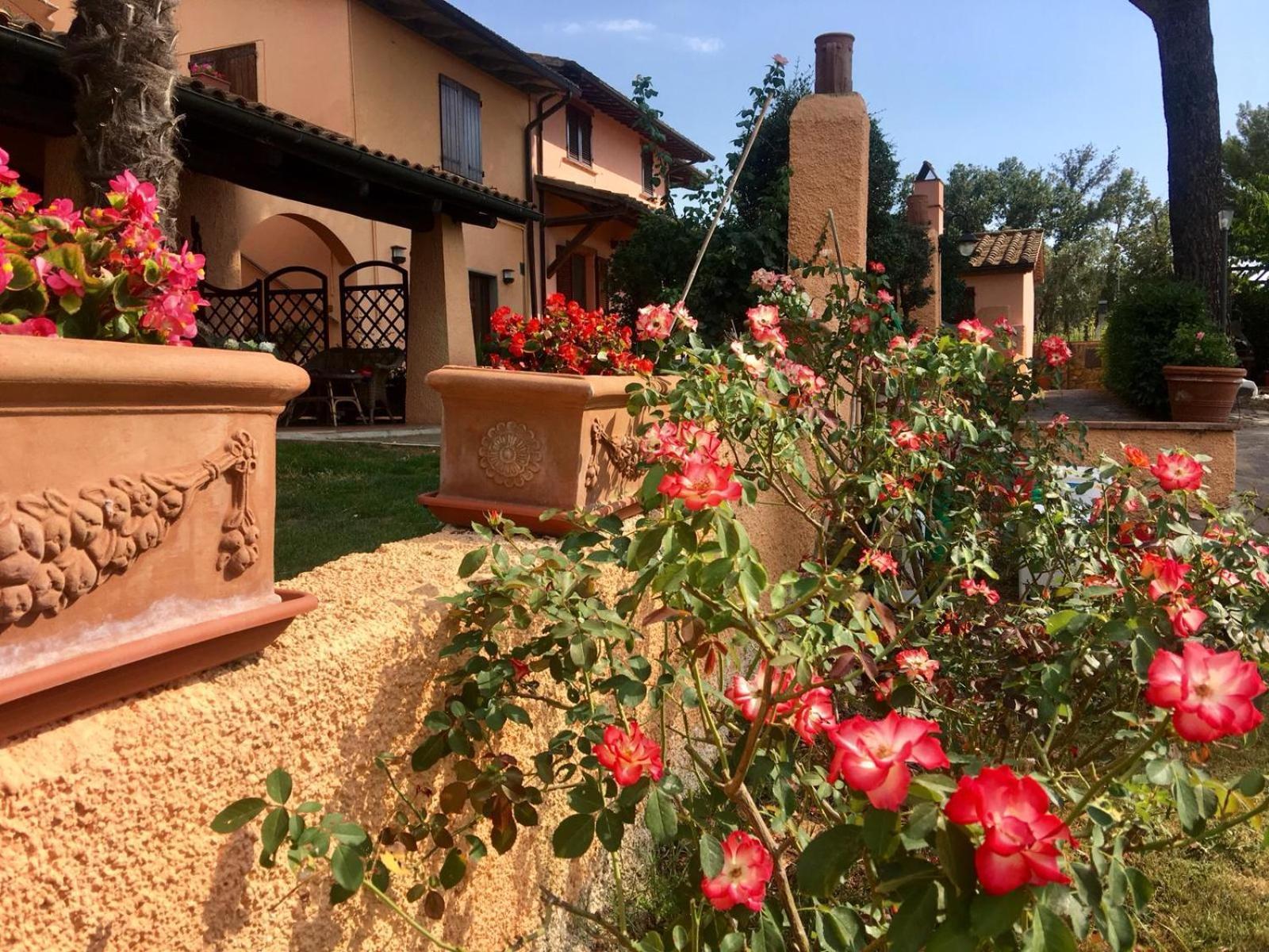 Agriturismo Terranera 斯坎萨诺 外观 照片