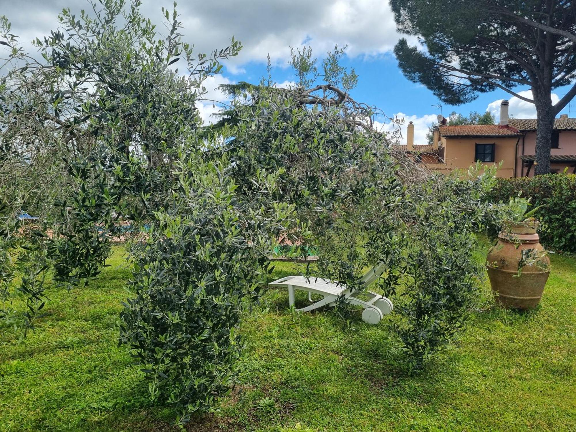 Agriturismo Terranera 斯坎萨诺 外观 照片