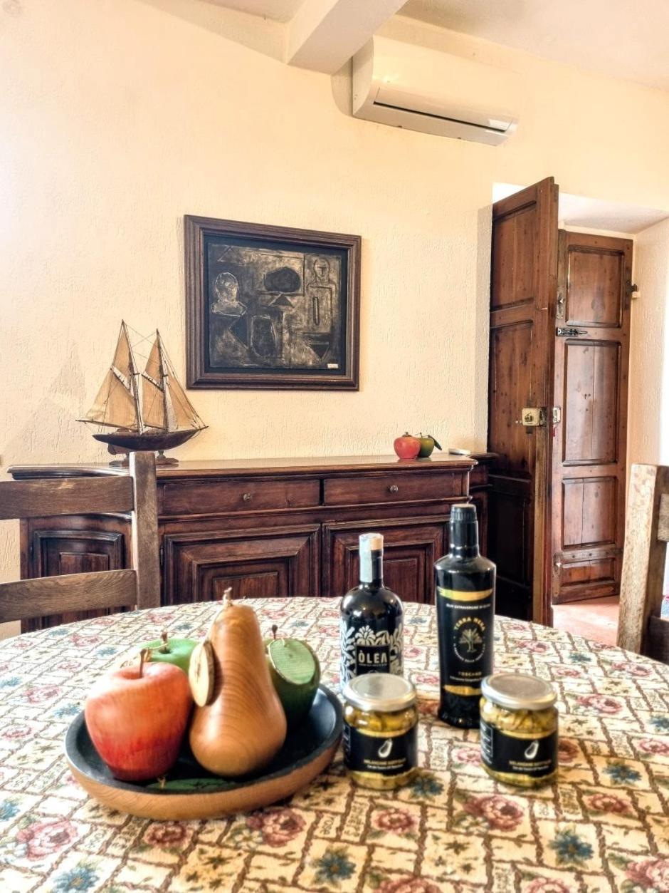 Agriturismo Terranera 斯坎萨诺 外观 照片