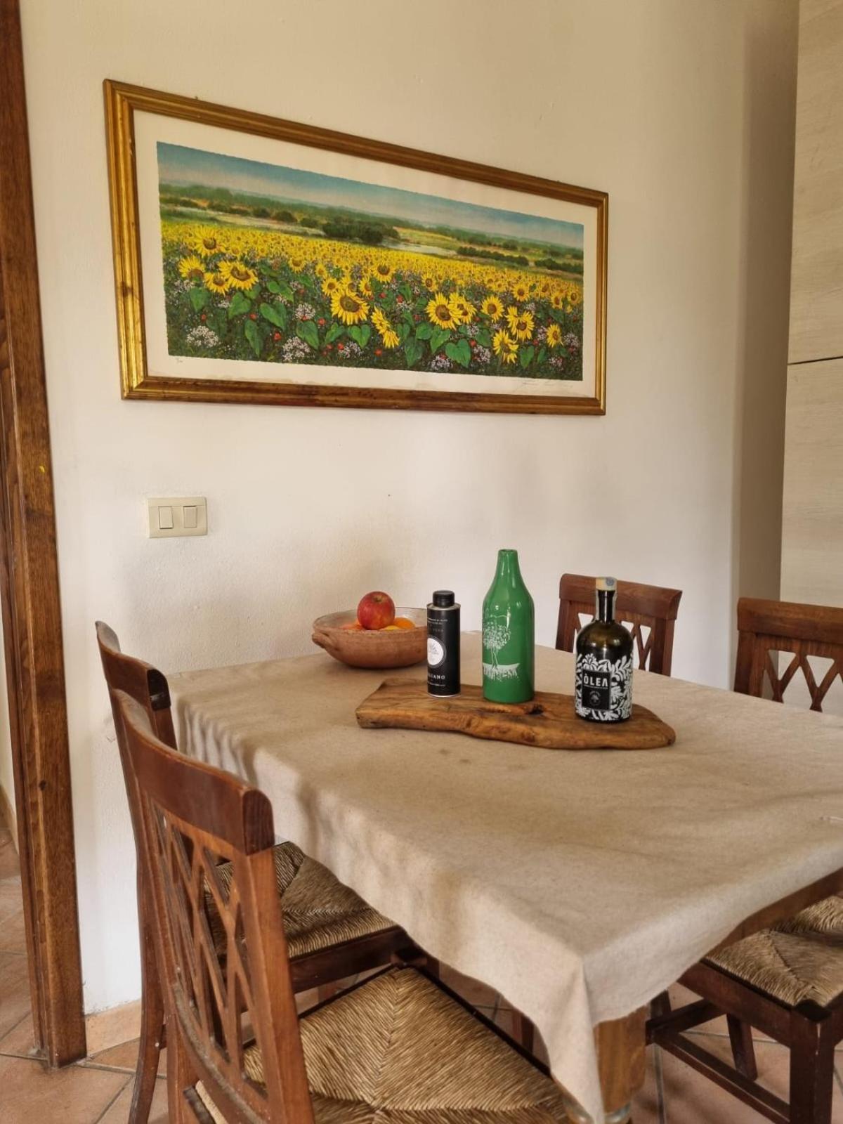 Agriturismo Terranera 斯坎萨诺 外观 照片
