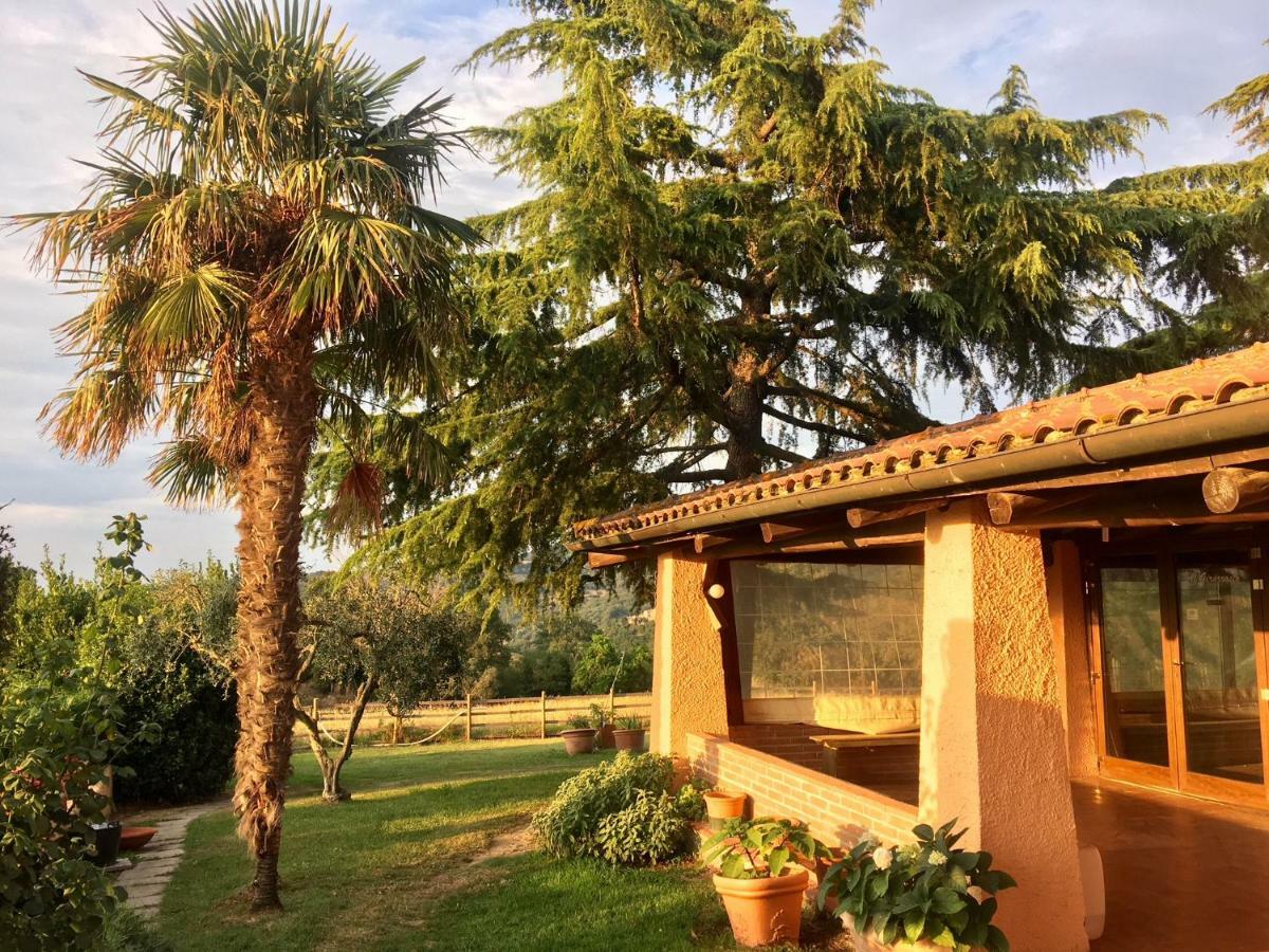 Agriturismo Terranera 斯坎萨诺 外观 照片